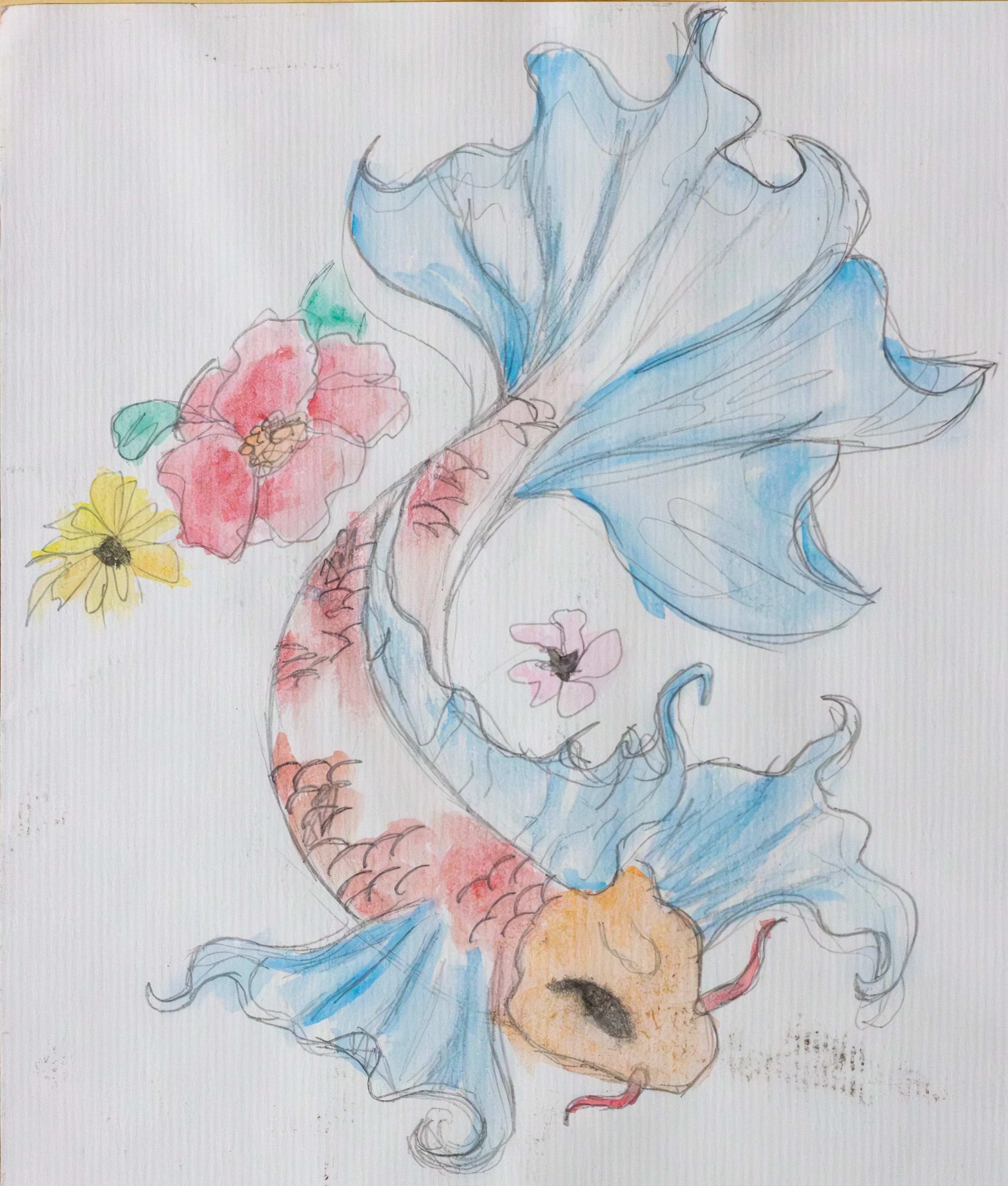 Без наслов 4